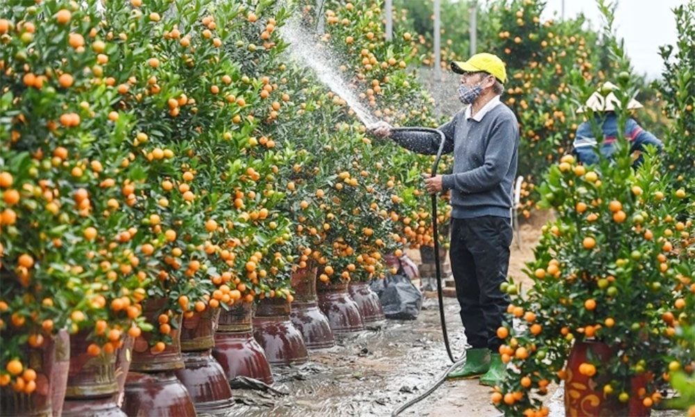 Vietnam proposes 4-day New Year break to boost travel and spending